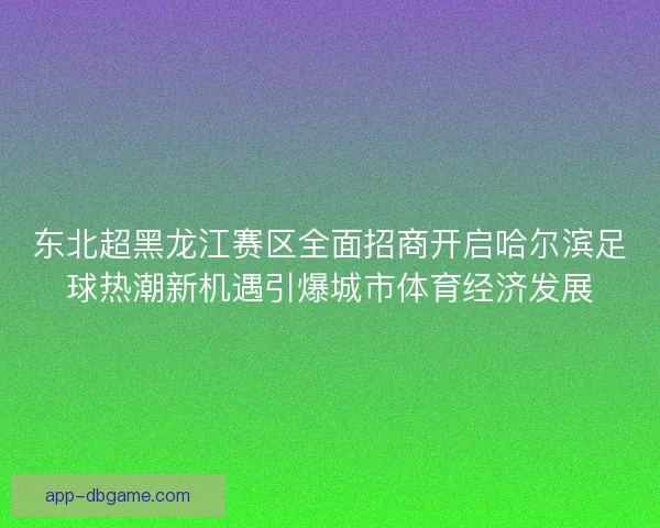 东北超黑龙江赛区全面招商开启哈尔滨足球热潮新机遇引爆城市体育经济发展 东北超黑龙江赛区全面招商开启哈尔滨足球热潮新机遇引爆城市体育经济发展